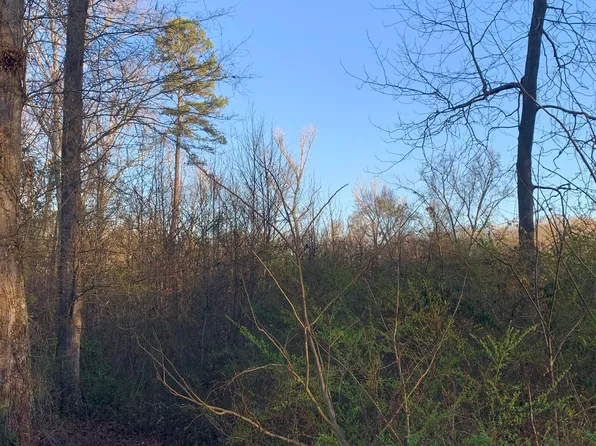 134 Randolph Ct, Woodruff, SC 29388