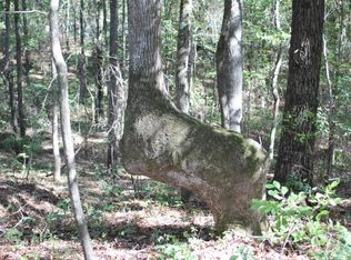 6800 Russell Topton Rd, Toomsuba, MS 39364