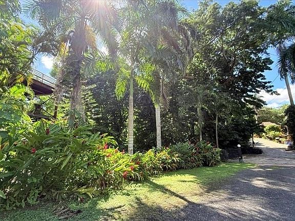 5th image of 177 Vanda