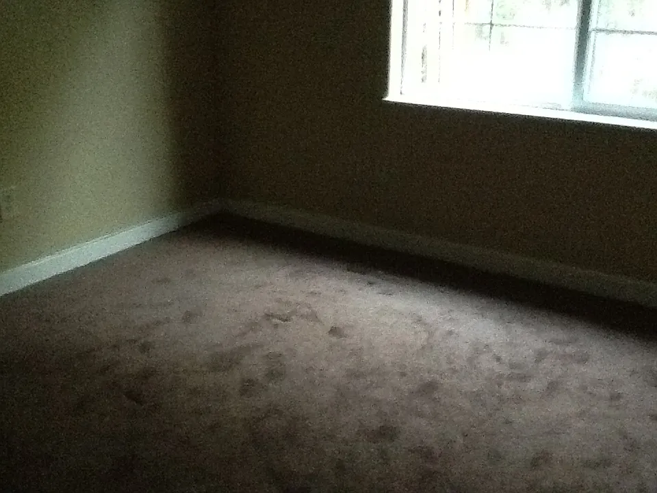 WASH — Photo 3