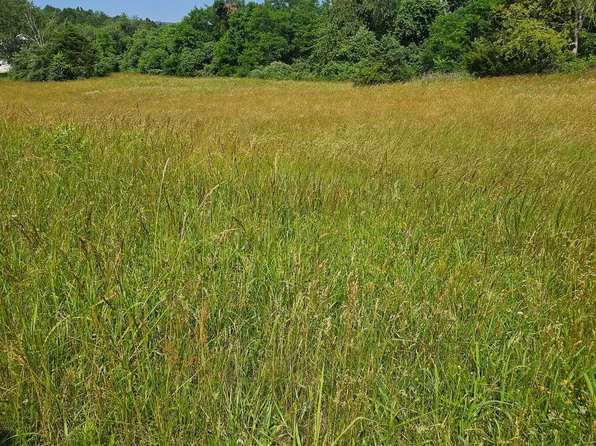 0 Pear Blossom Lane 12 #9-11-13, Natural Bridge, VA 24578
