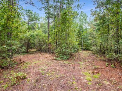 0 Goolsby Rd #155, Monticello, GA, 31064