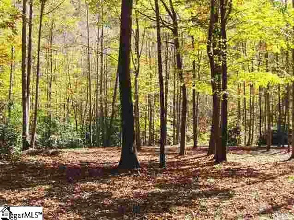 180 Painter Creek Rd, Travelers Rest, SC 29690
