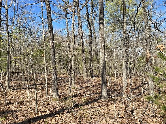 2nd image of 000 Timber Road