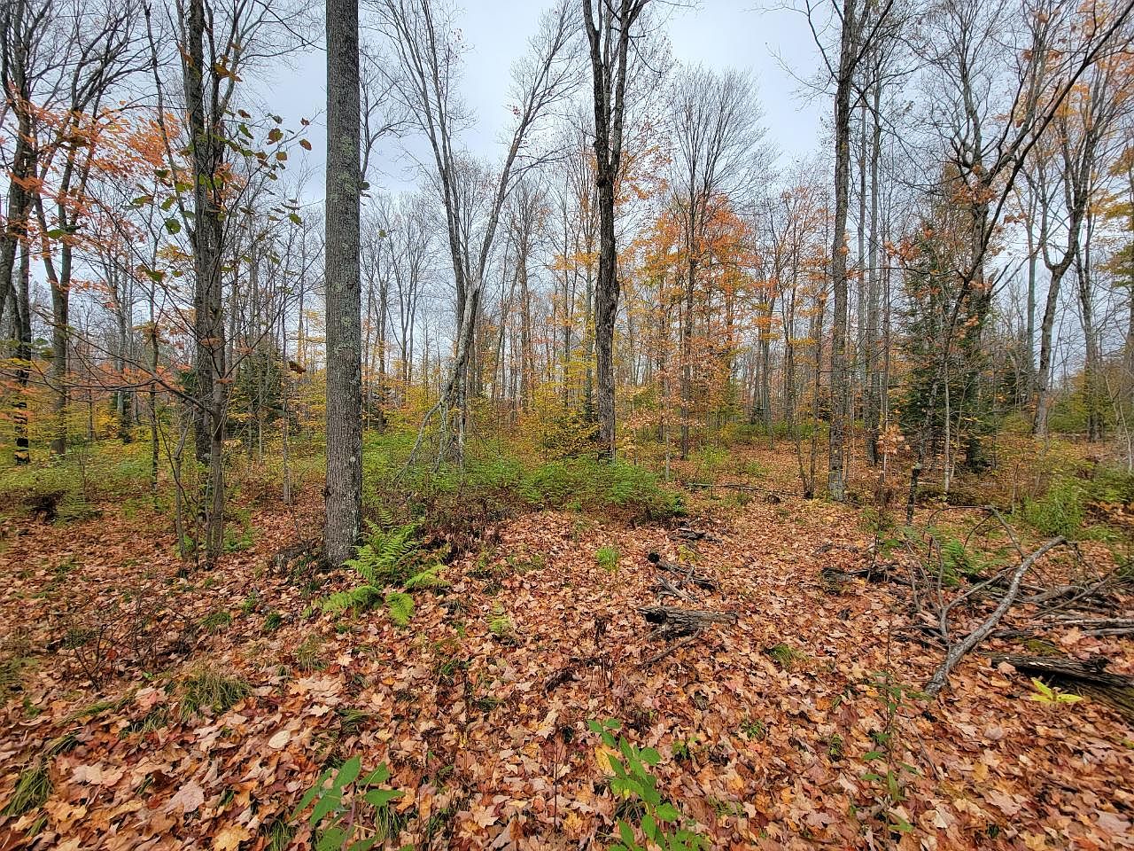 On Cth ALOT 2, Deerbrook, WI 54424 MLS 204228 Zillow