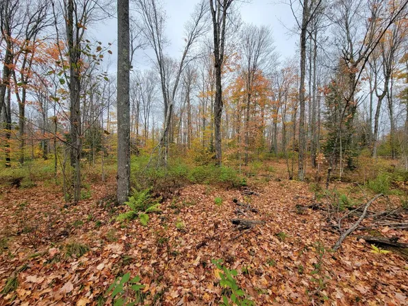 On Cth #A-lot 2, Deerbrook, WI 54424