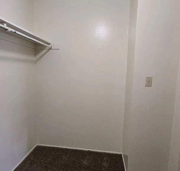 4147 Pinewood Lake Dr — Photo 26
