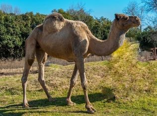 1704 Dublin Rd, Parker, TX 75094