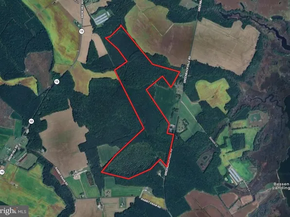 0 Greenbackville Rd, Stockton, MD 21864