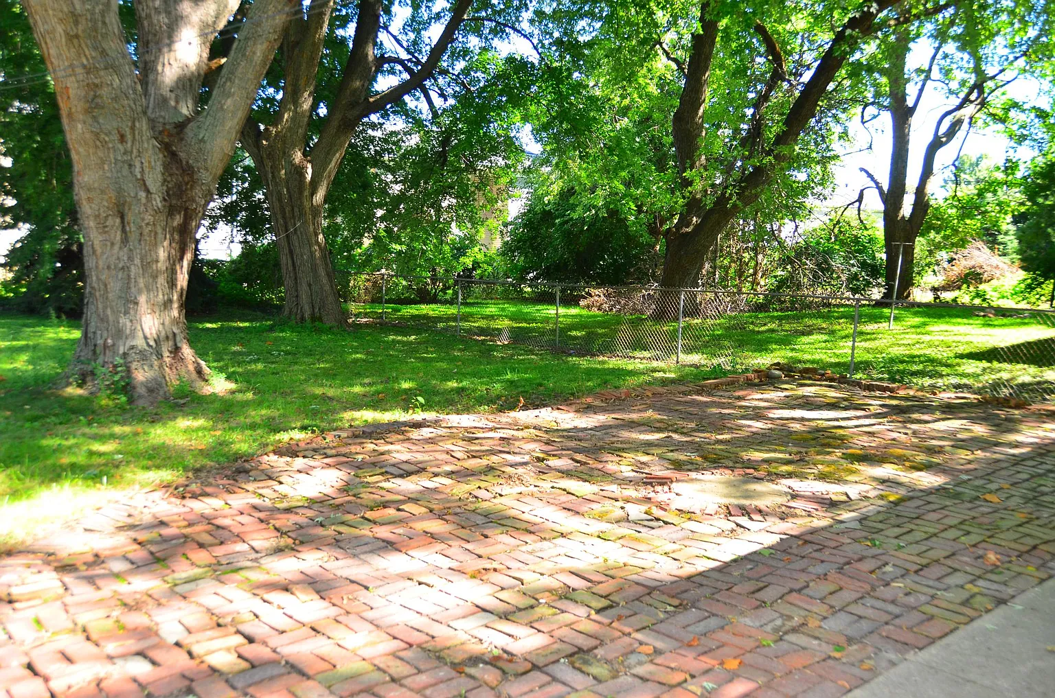 1704 Park Haven Dr photo 1