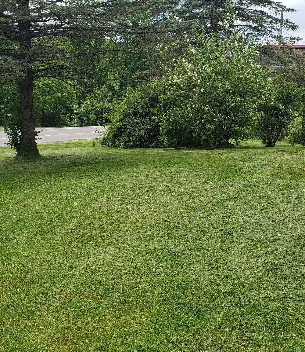 7 bed, 2000 sqft, $5,600 — Photo 2