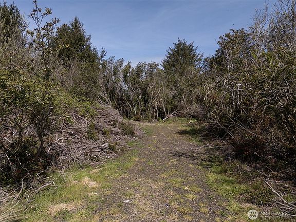 2nd image of 148 Marine View Drive SE