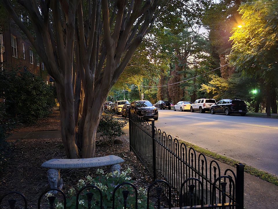 Dusk in the East garden