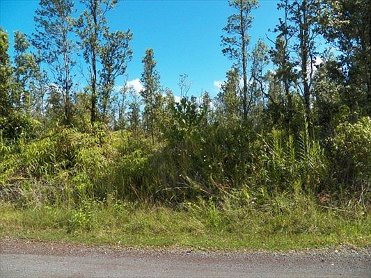2nd image of 8th Ave Lot 1977