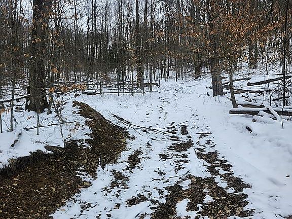 2nd image of 2786 Wolf Creek Rd