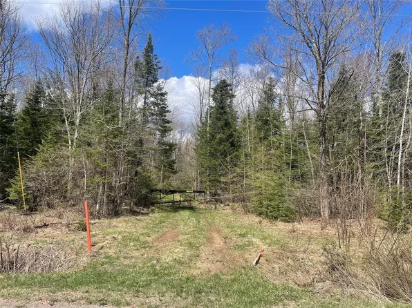 40+/- Acres On Pociask Road, Butternut, WI 54514