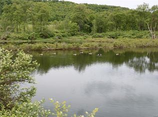 Covered Bridge Rd, Livingston Manor, NY 12758