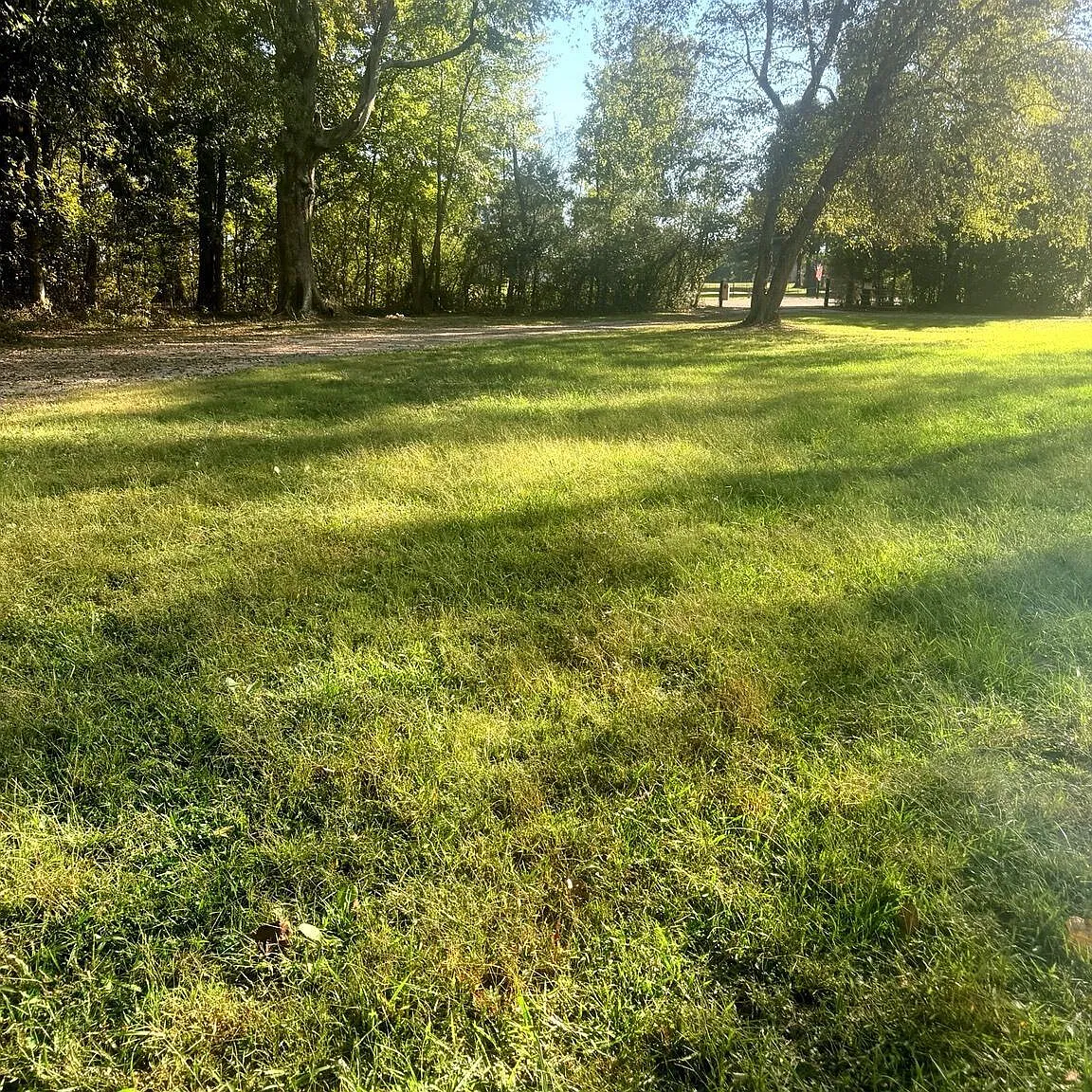4 bed, 2.0 bath, 1792 sqft, $2,500 — Photo 4