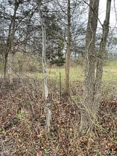 2nd image of 0 Plattin Rd