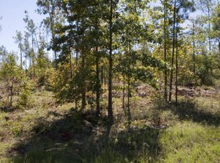4 Coleman Chapel Rd TRACT 4, Bartow, GA 30413