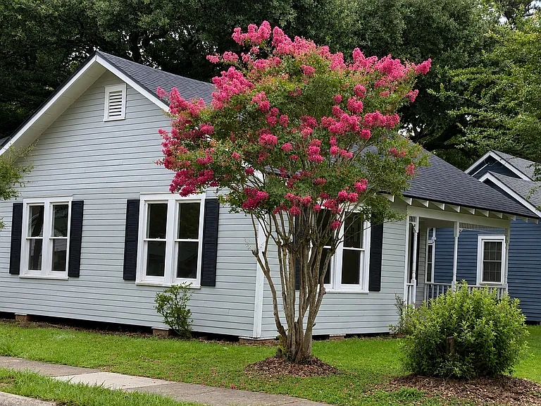 526 Evangeline Dr — Photo 1