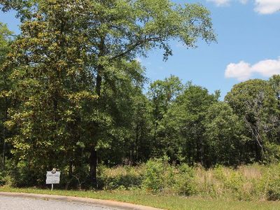 0 Red Fern Rd LOT 32, Daphne, AL, 36526