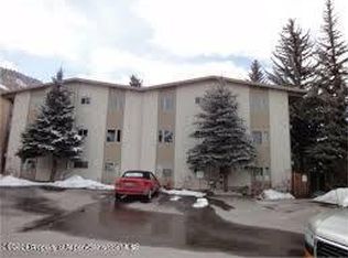 601 S West End St UNIT 13, Aspen, CO 81611