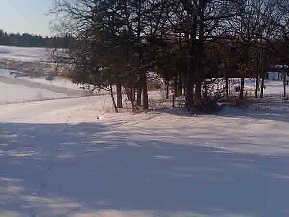 Snowy view