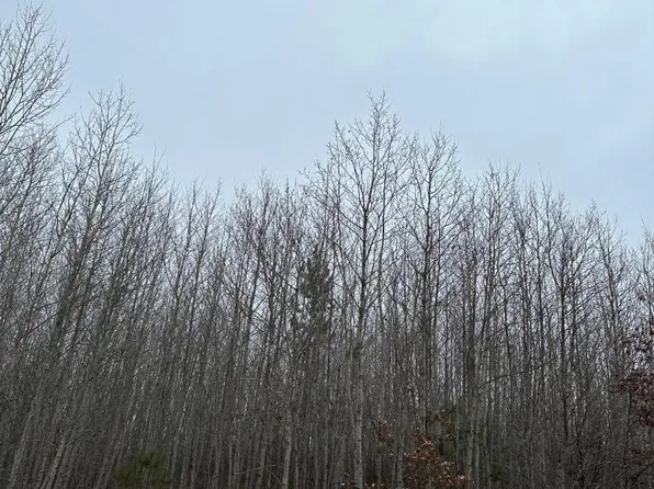 On Pr, Jackson, MT 59736