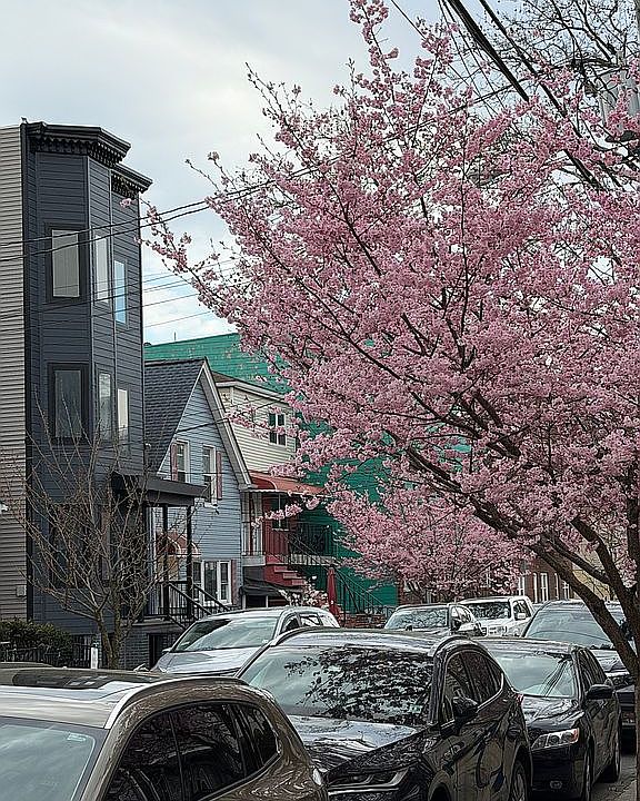 2nd image of 92 Sherman Ave