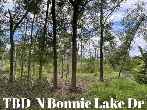 N Bonnie Lake Dr, Hempstead, TX 77445