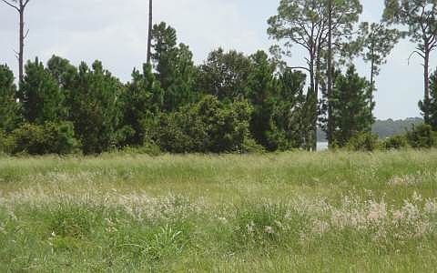 1st image of 3033 Jack Creek Dr