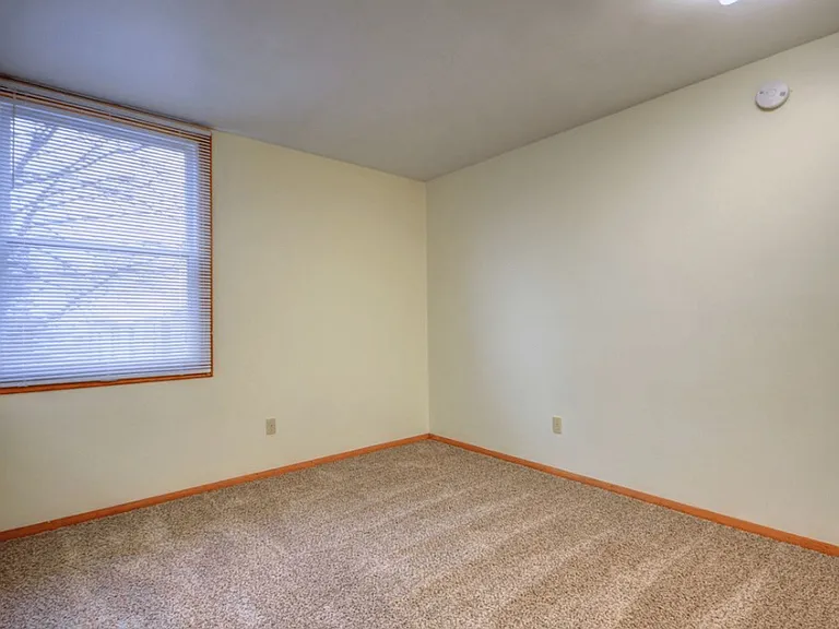 508 S Mattis Ave — Photo 9