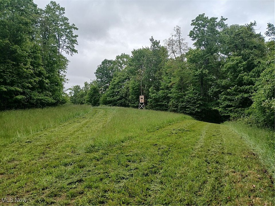 49th image of this home