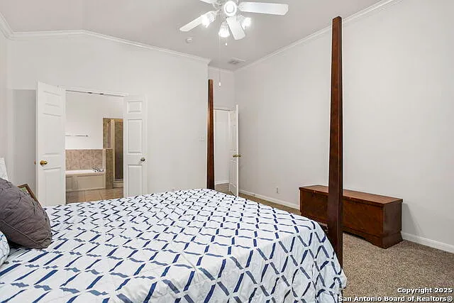 211 Aster Trl — Photo 14