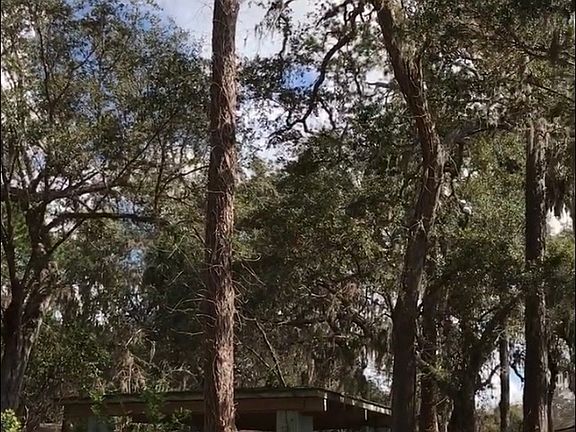 Lot view from street