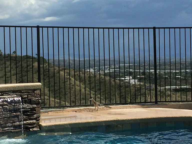 307 Valley View Dr — Photo 12