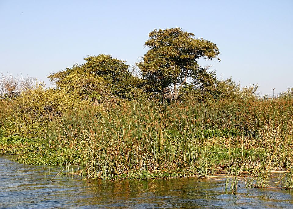 Dutra's Island Near San Francisco, Contra Costa County, CA 94511  Zillow