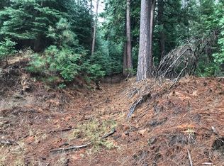 5051 Deerwood Dr, Grizzly Flats, CA 95636