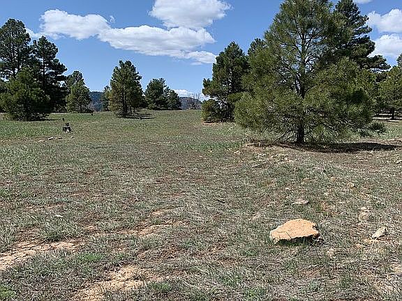 5th image of 68 Harmony Dr