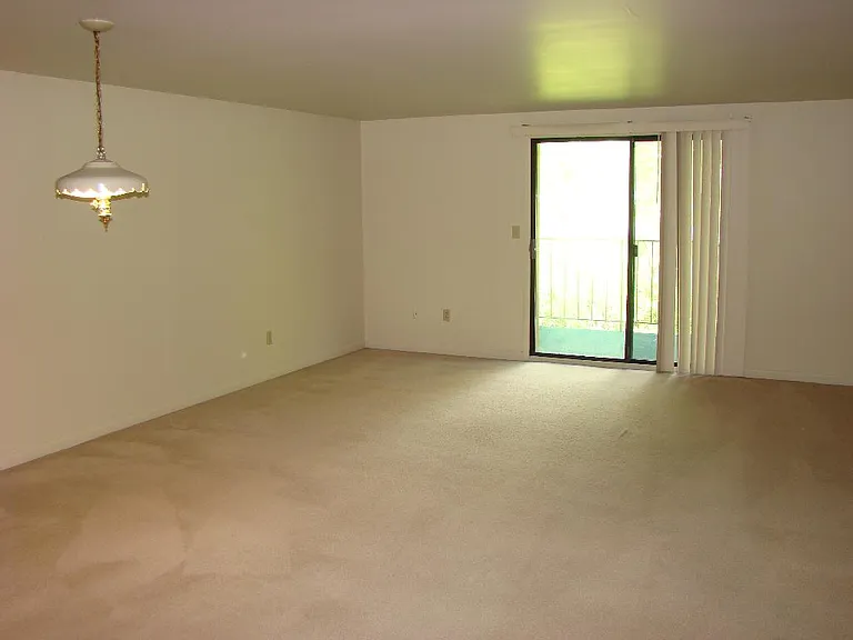 1406 Bradley Dr #K-314 — Photo 3