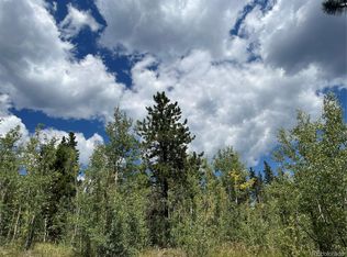 795 Russell Gulch Rd, Central City, CO 80427