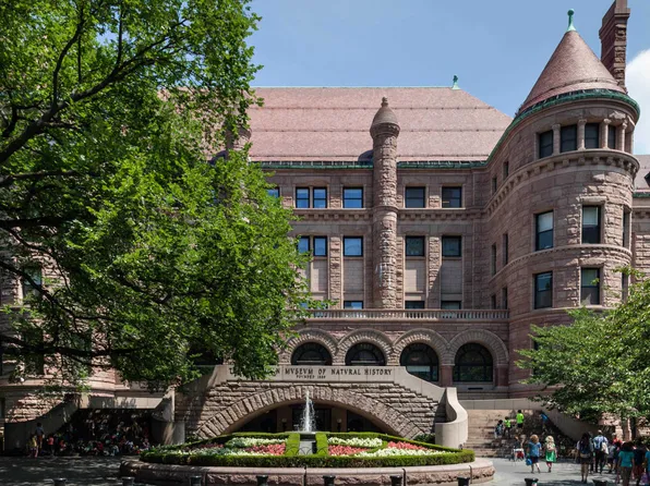 50 West 77th Street image 21 of 31