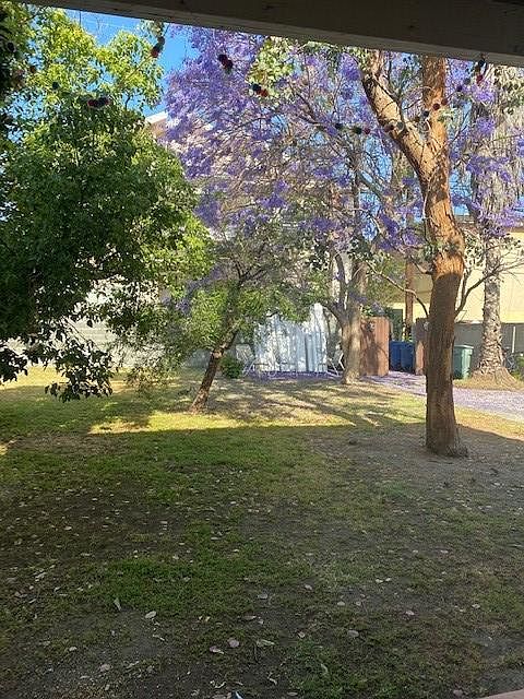 Shared backyard.