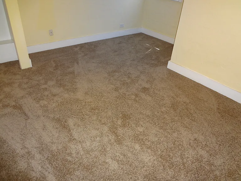 Garden Level 2 Bedroom Apartment right near D.U. — Photo 12