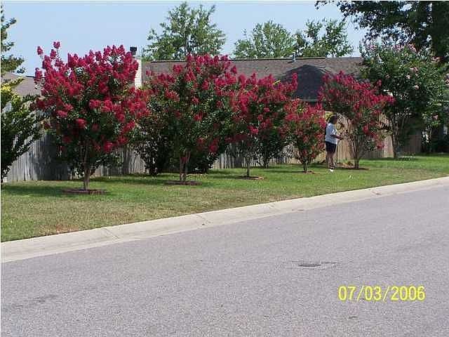 1st image of 837 Horsemens Path