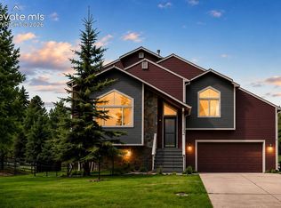 481 Black Bear Trl, Woodland Park, CO 80863