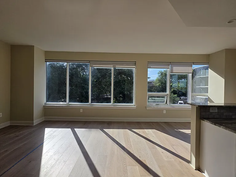 252 N Christopher Columbus Blvd #303 — Photo 11