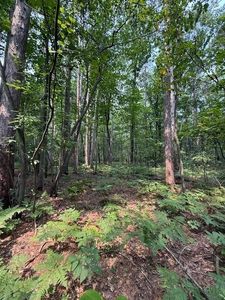 E Pine Tree Rd, Sturgeon Bay, WI, 54235