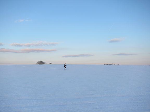 Literally out your back door